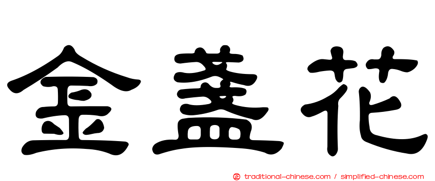 金盞花