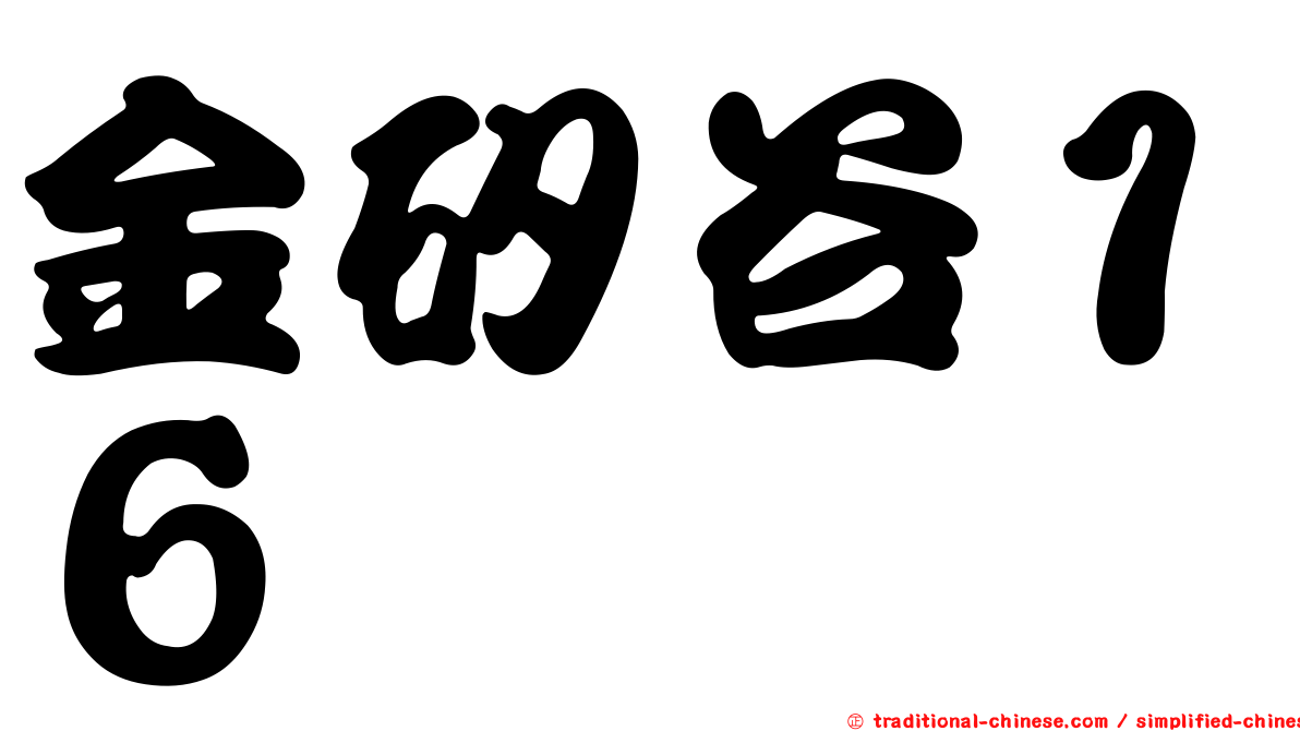 金矽谷１６