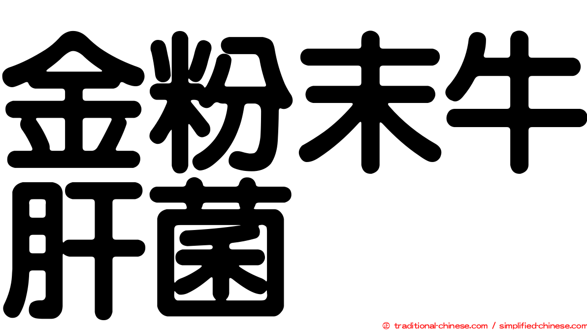 金粉末牛肝菌