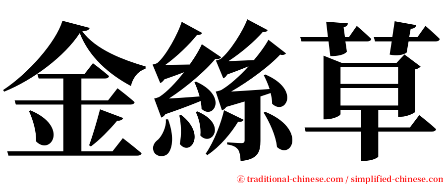 金絲草 serif font