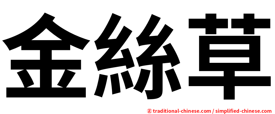 金絲草