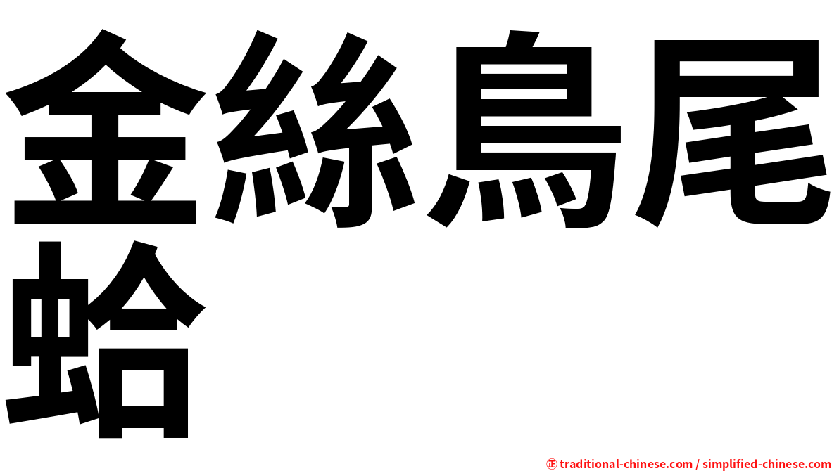 金絲鳥尾蛤
