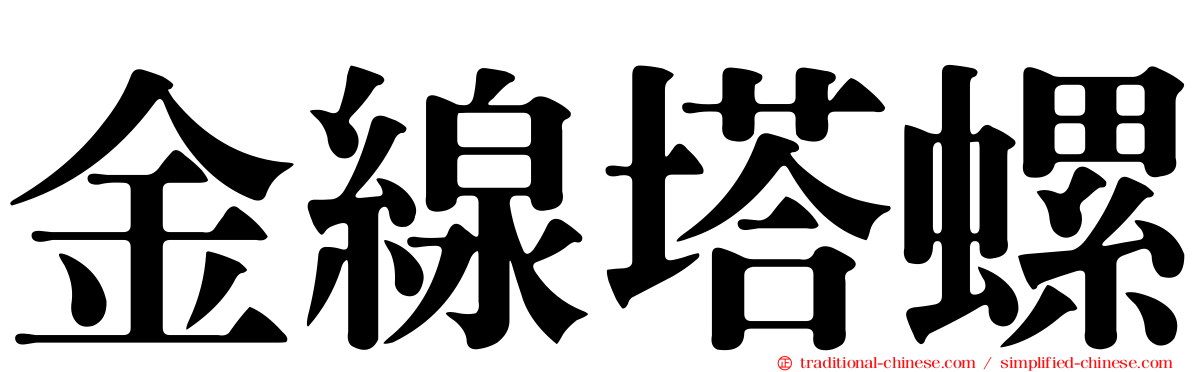 金線塔螺