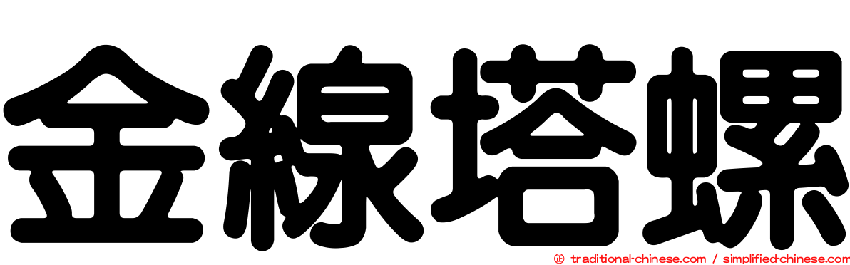金線塔螺