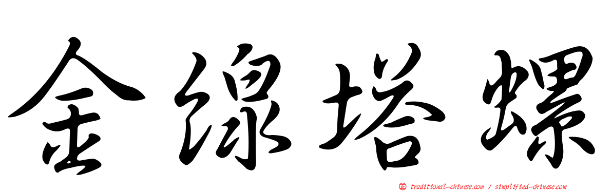 金線塔螺