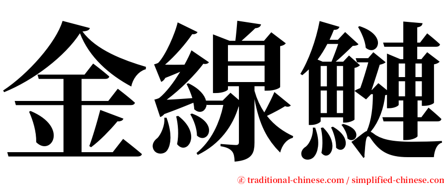 金線鰱 serif font