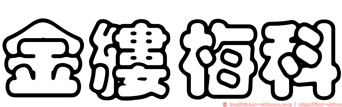 金縷梅科