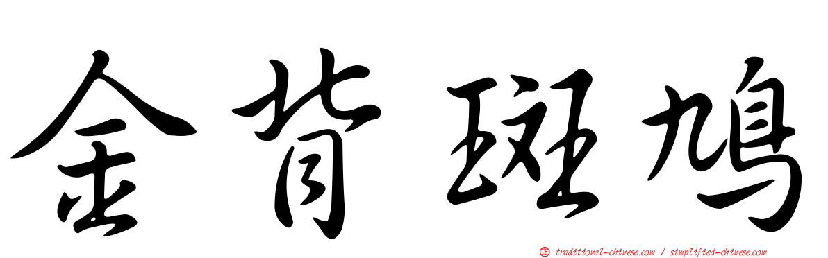 金背斑鳩