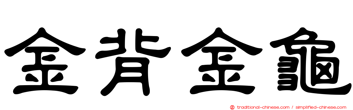 金背金龜