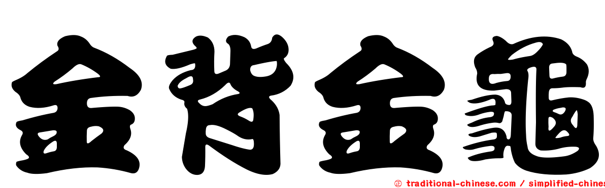 金背金龜