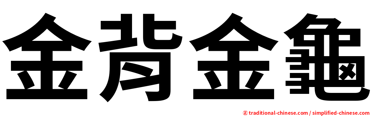 金背金龜