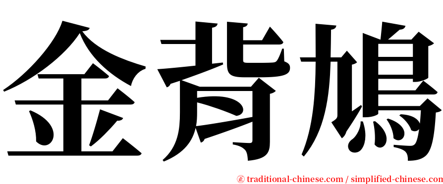金背鳩 serif font