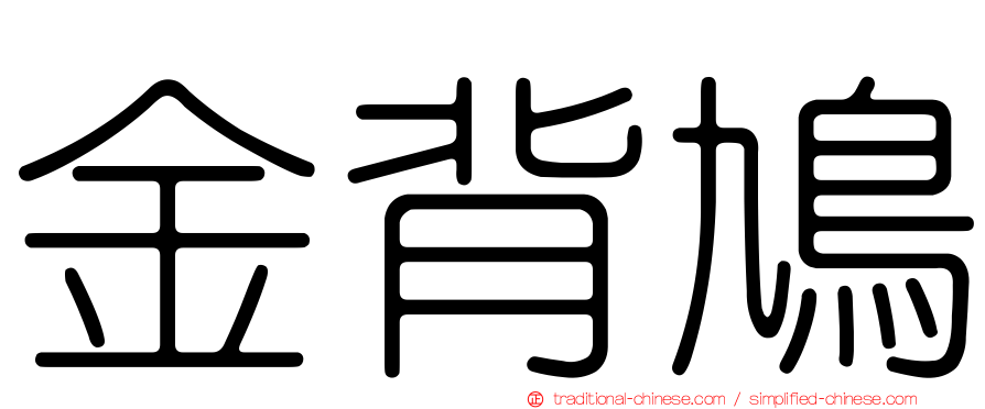 金背鳩