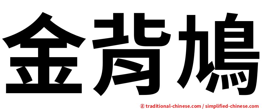 金背鳩
