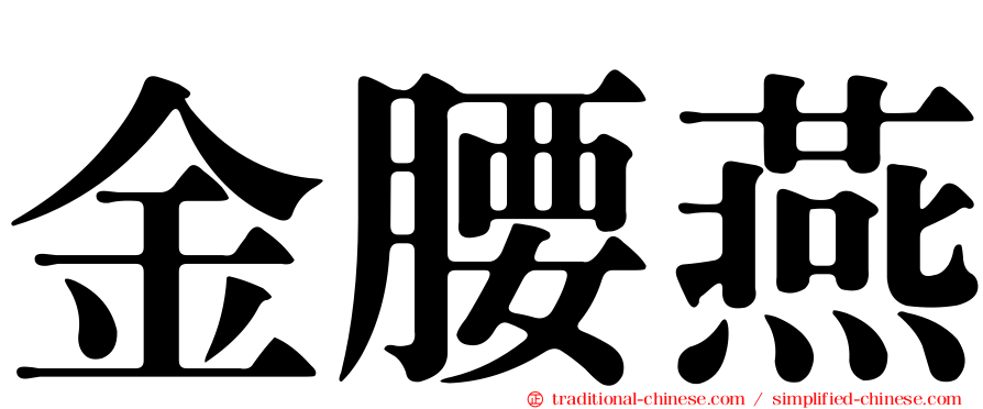 金腰燕