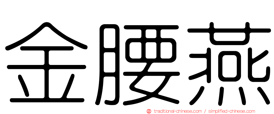 金腰燕