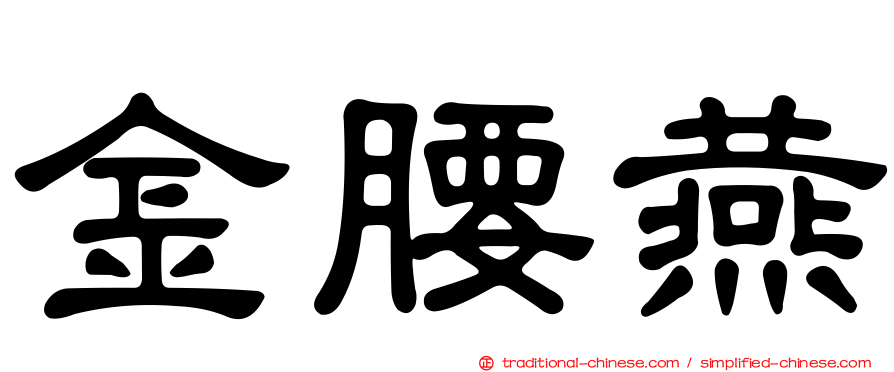 金腰燕