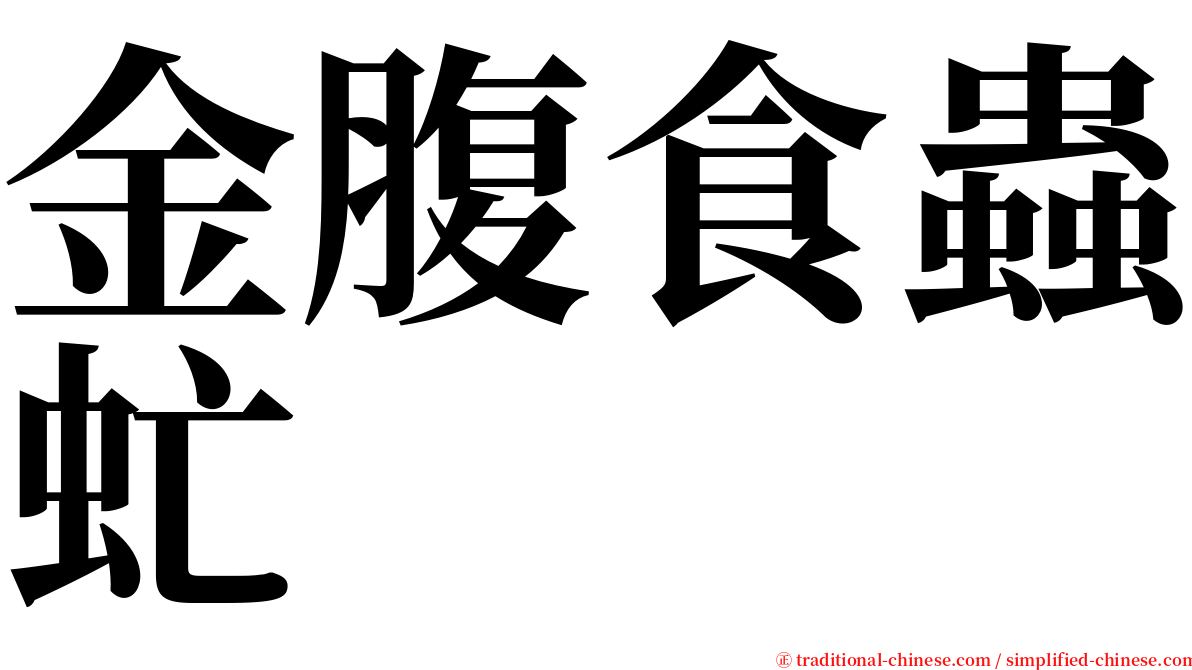 金腹食蟲虻 serif font