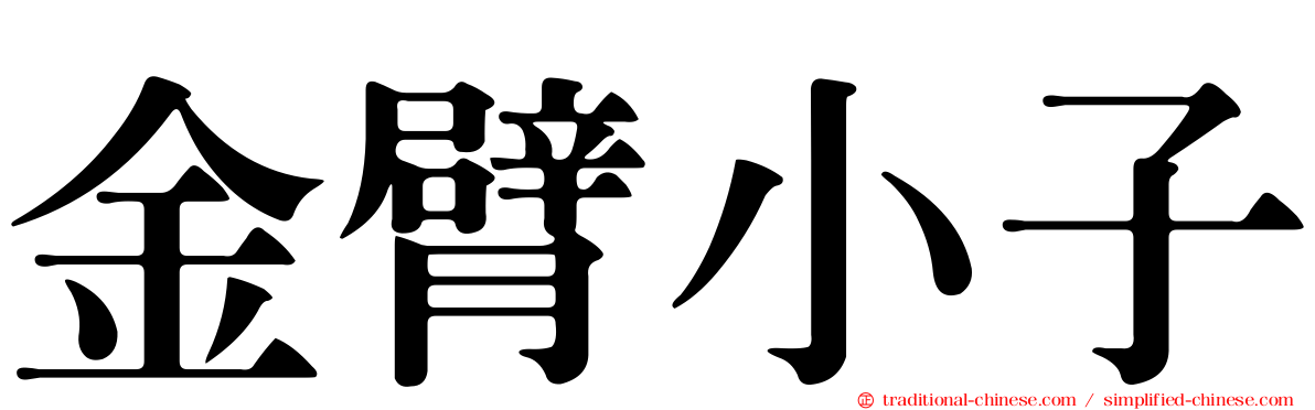 金臂小子