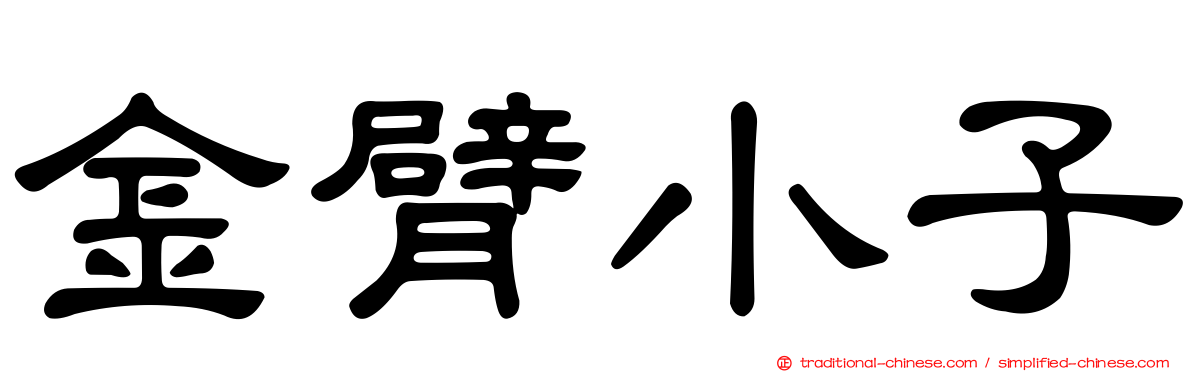 金臂小子