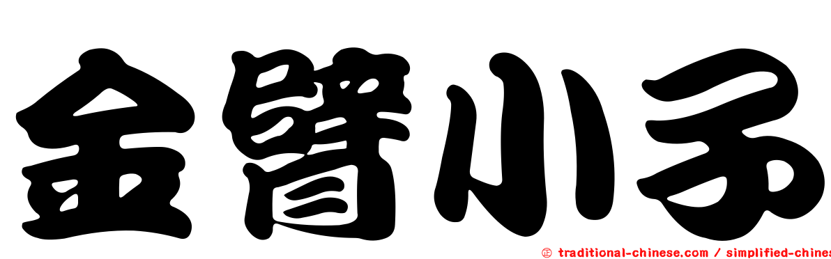 金臂小子