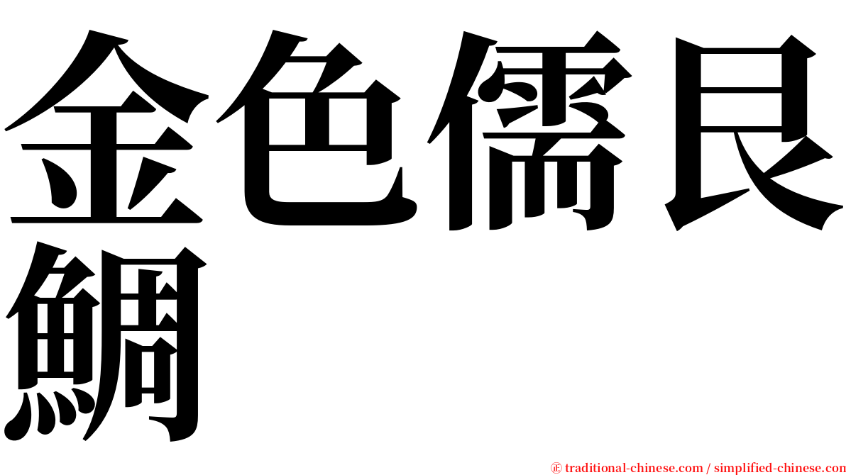 金色儒艮鯛 serif font