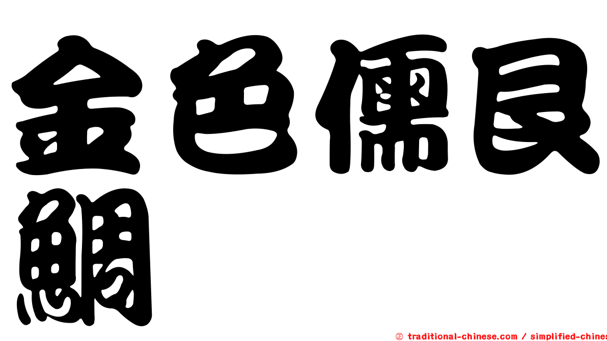 金色儒艮鯛
