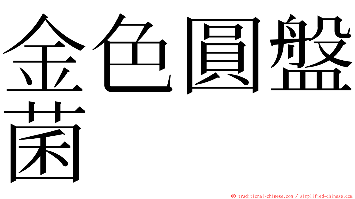 金色圓盤菌 ming font