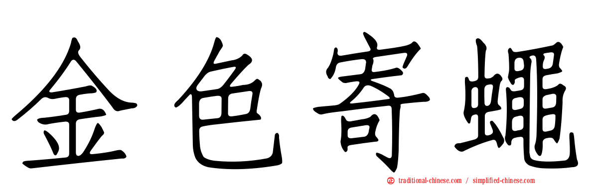 金色寄蠅