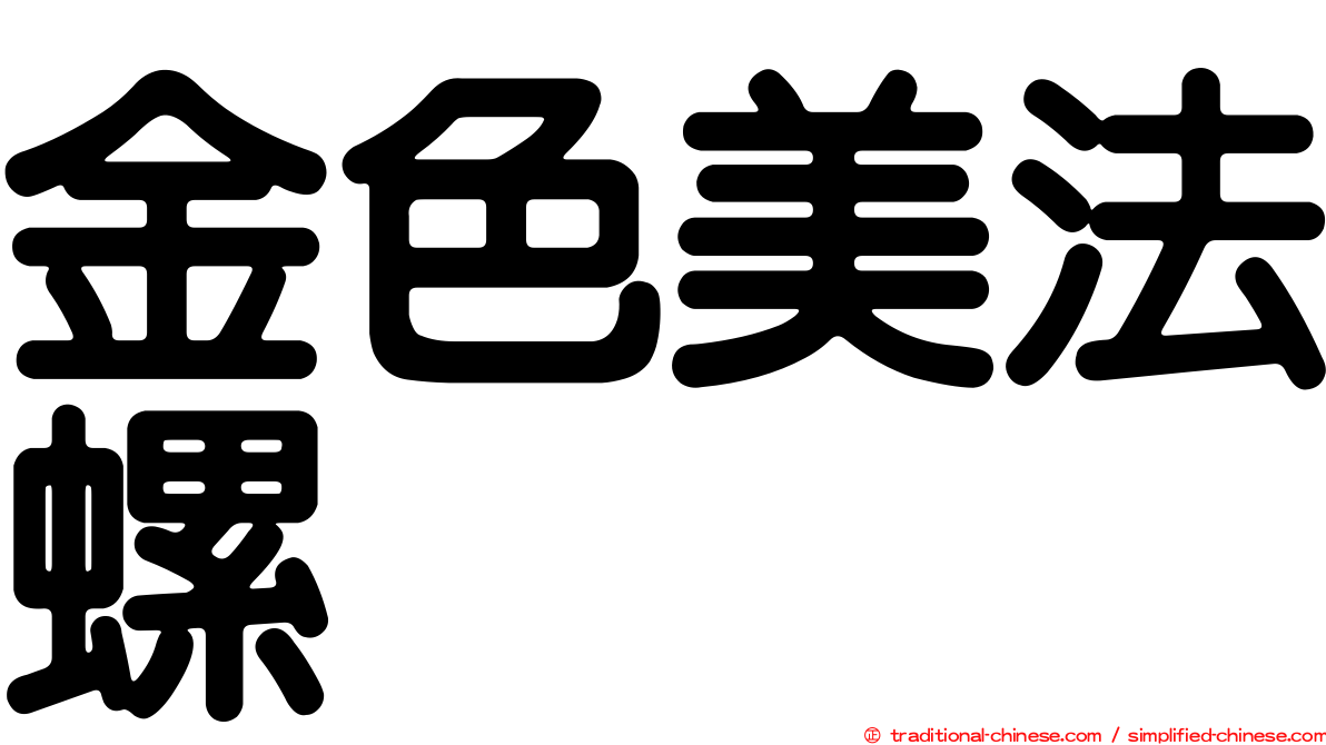 金色美法螺