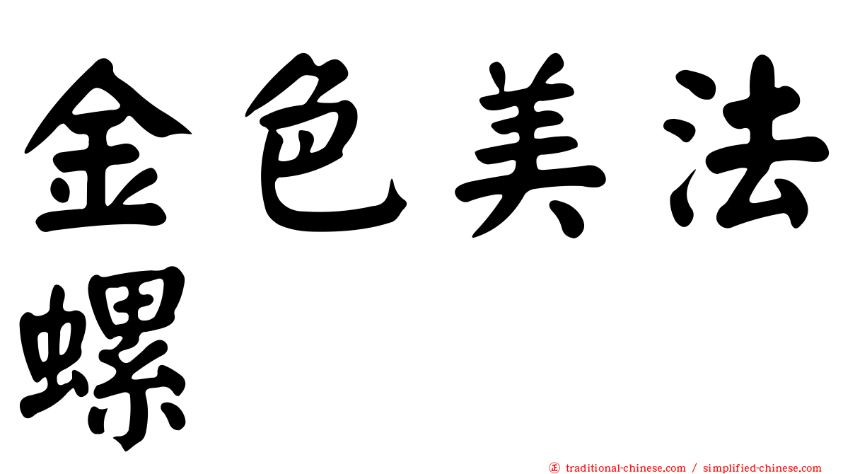 金色美法螺