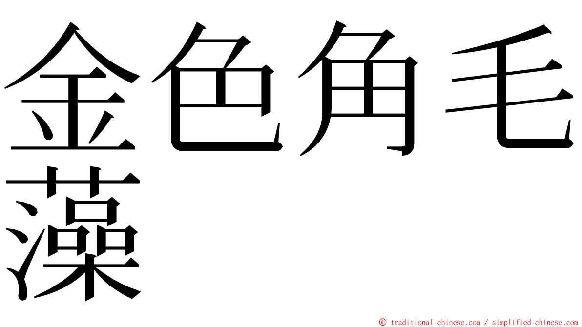 金色角毛藻 ming font