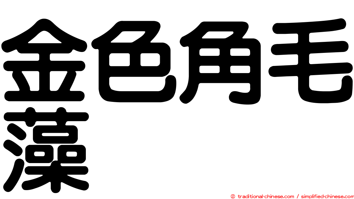 金色角毛藻