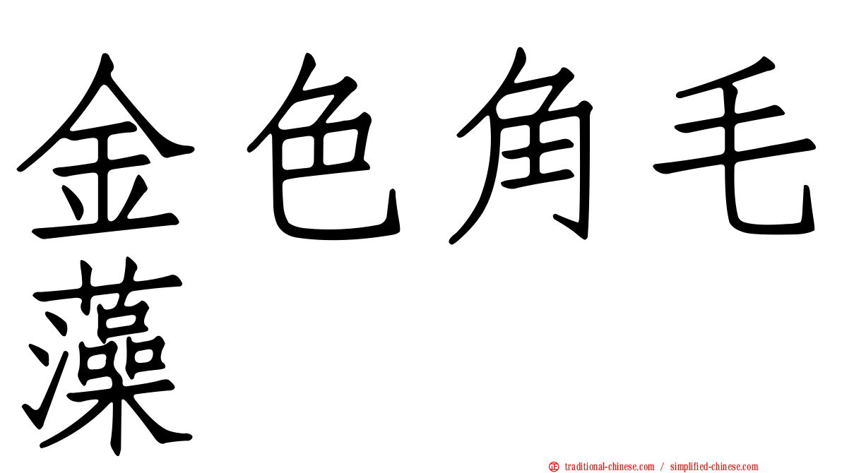 金色角毛藻