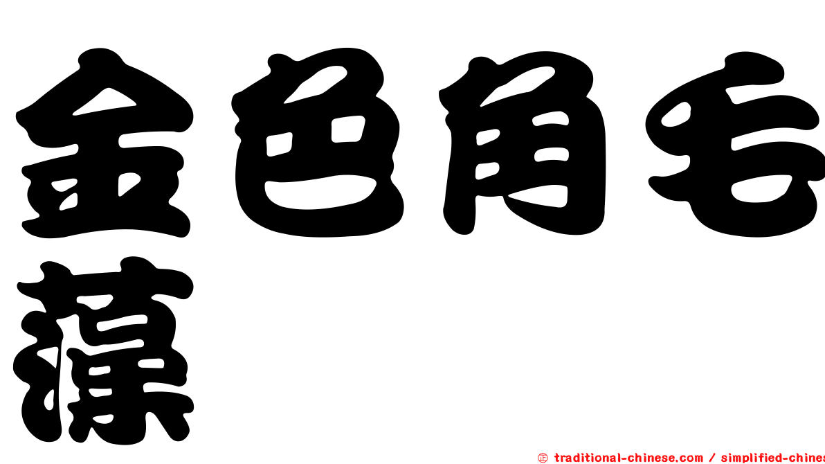 金色角毛藻