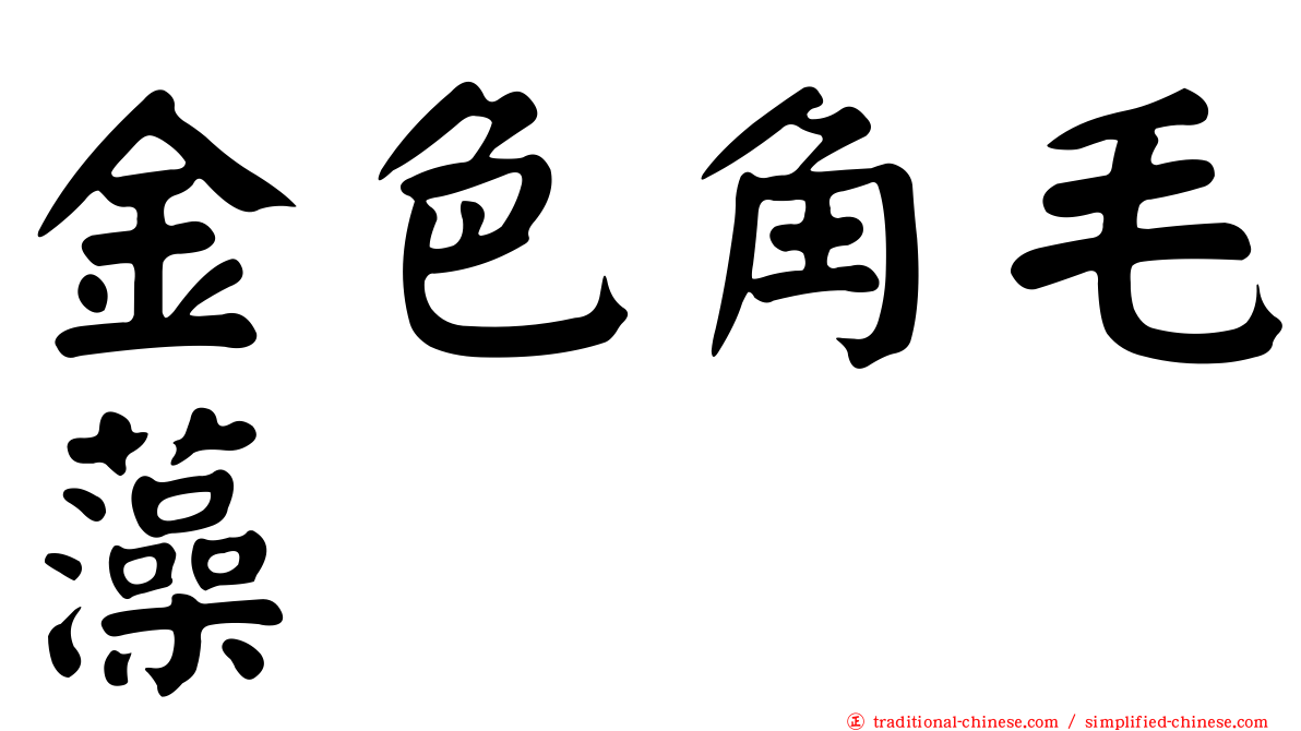 金色角毛藻
