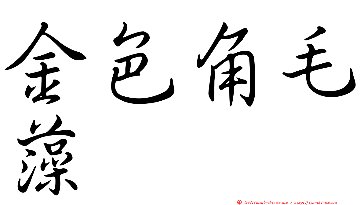 金色角毛藻