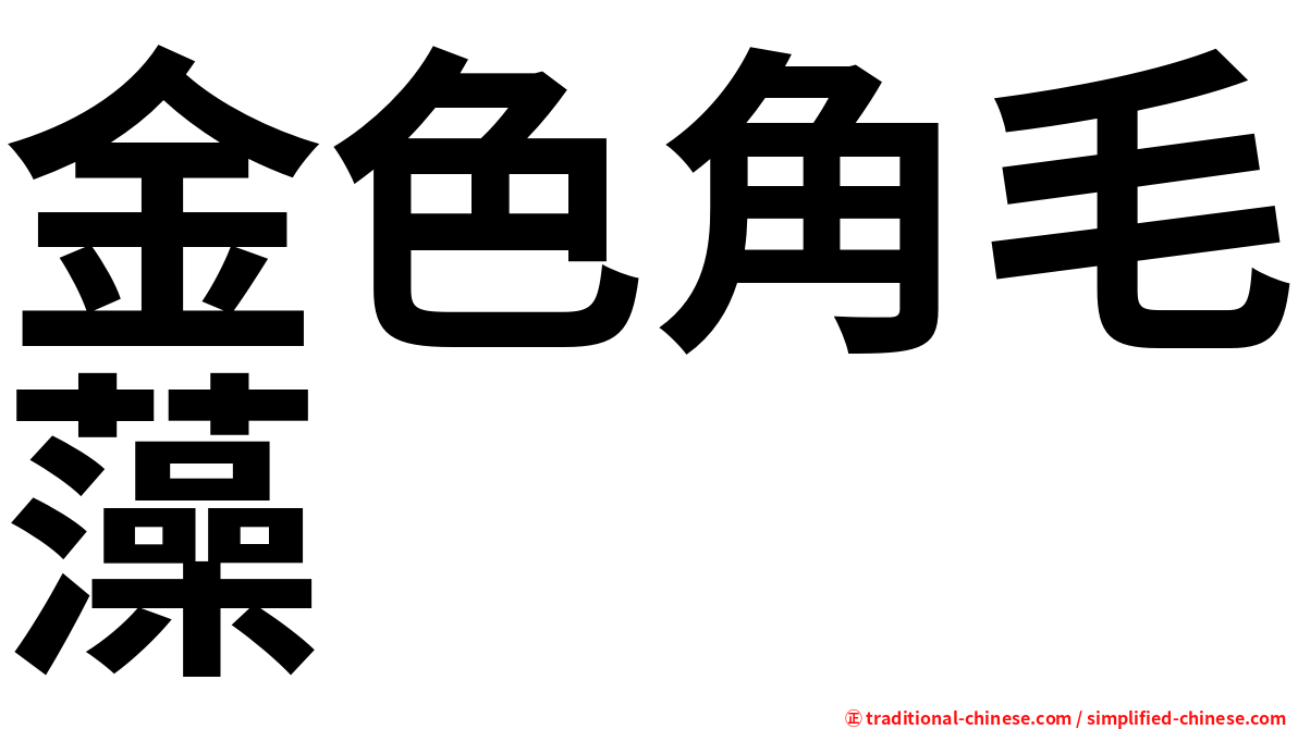 金色角毛藻