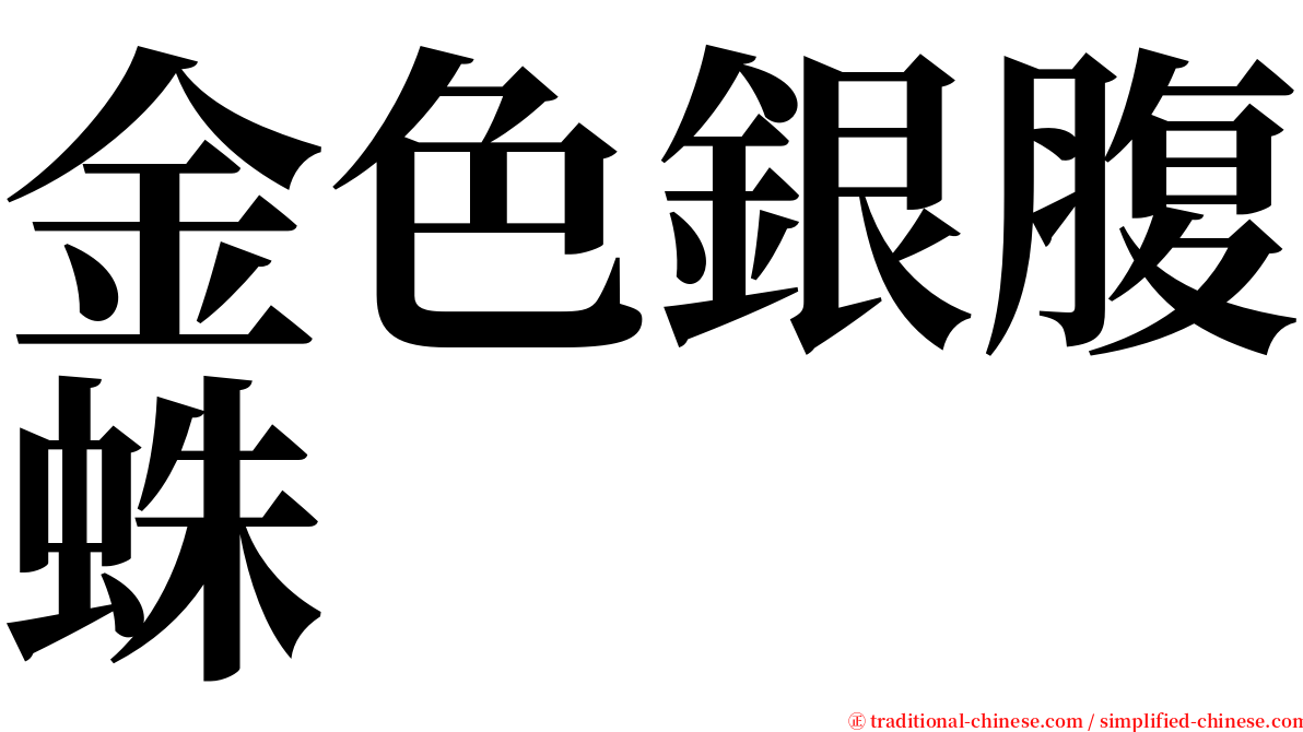 金色銀腹蛛 serif font