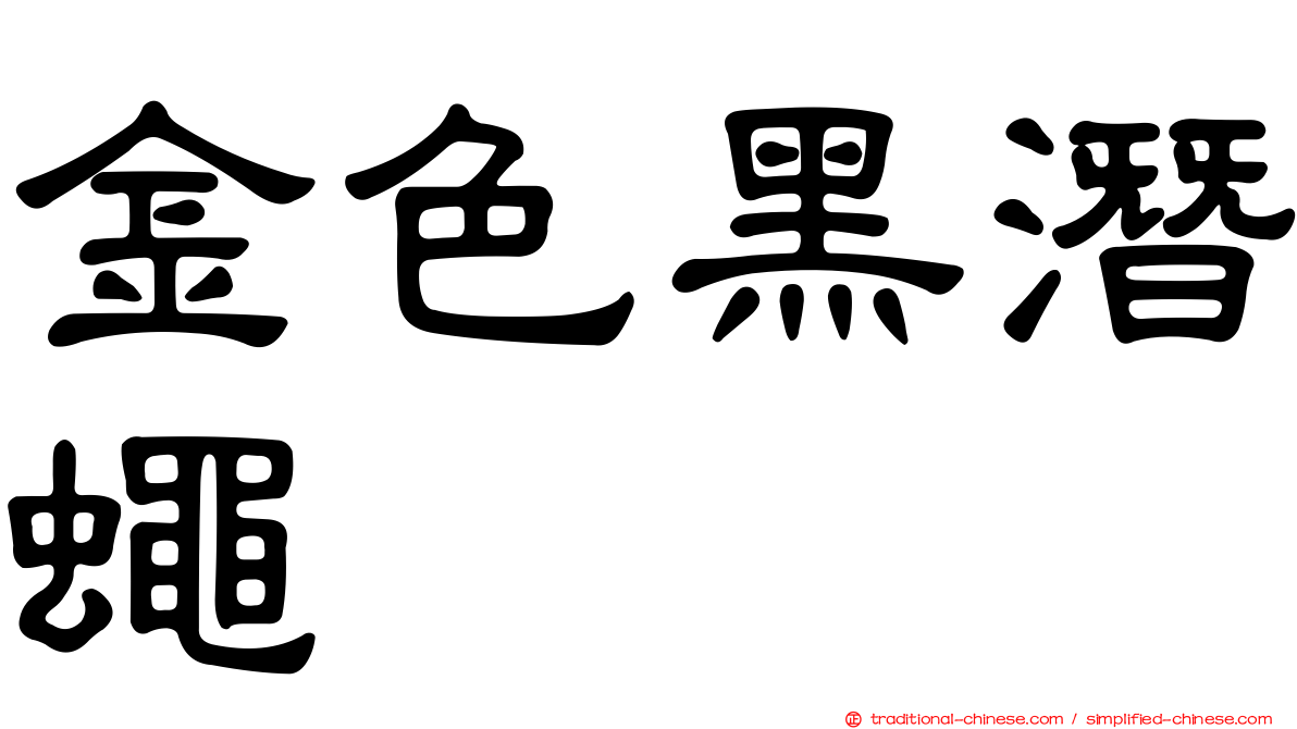 金色黑潛蠅