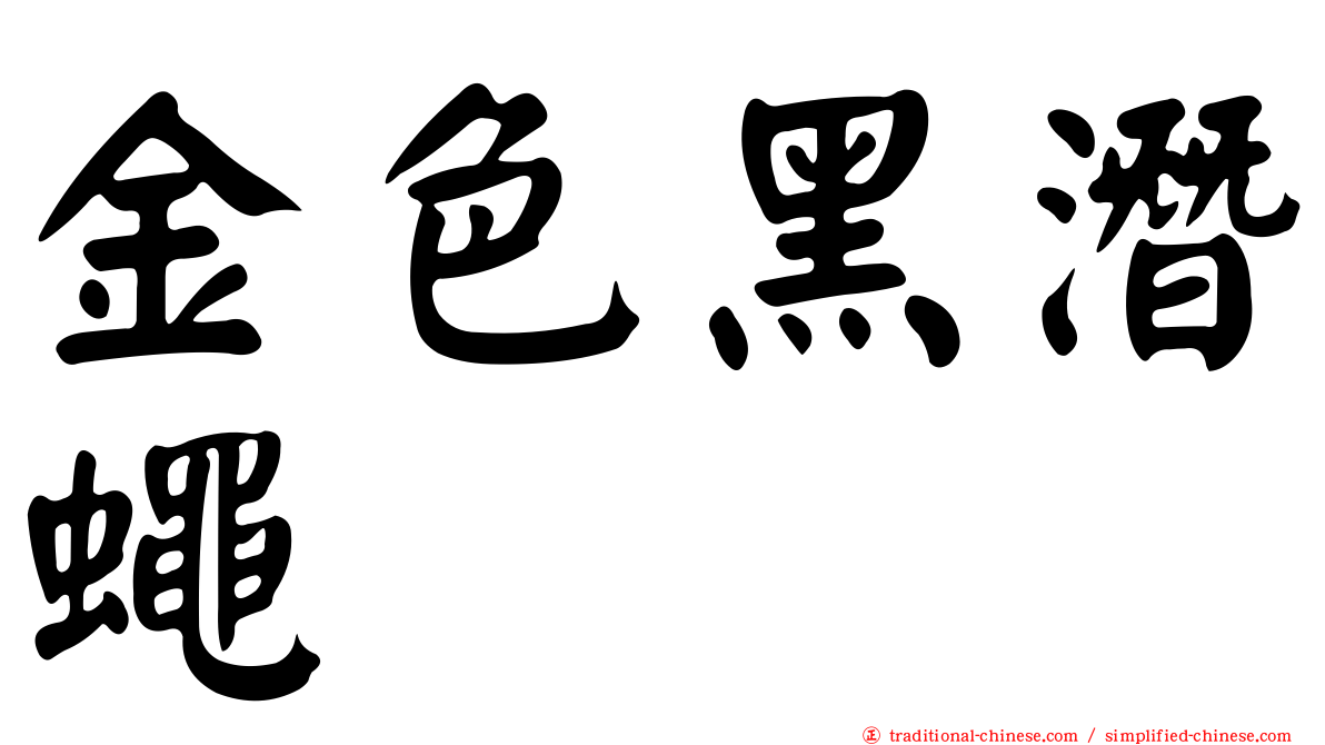 金色黑潛蠅