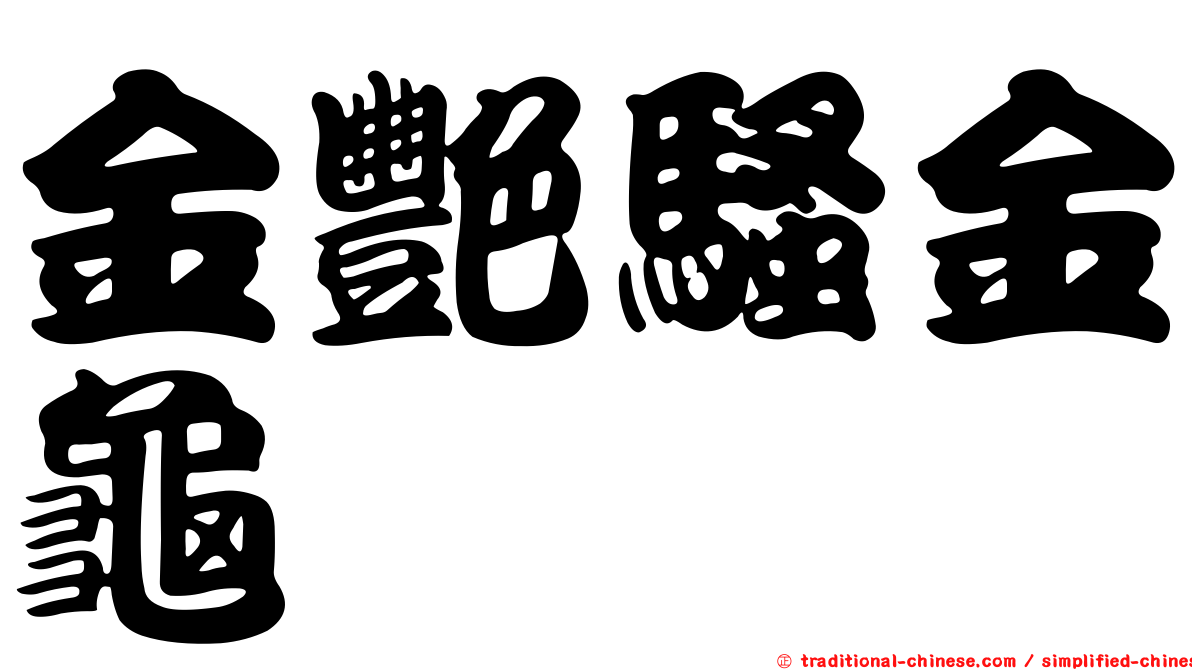 金艷騷金龜