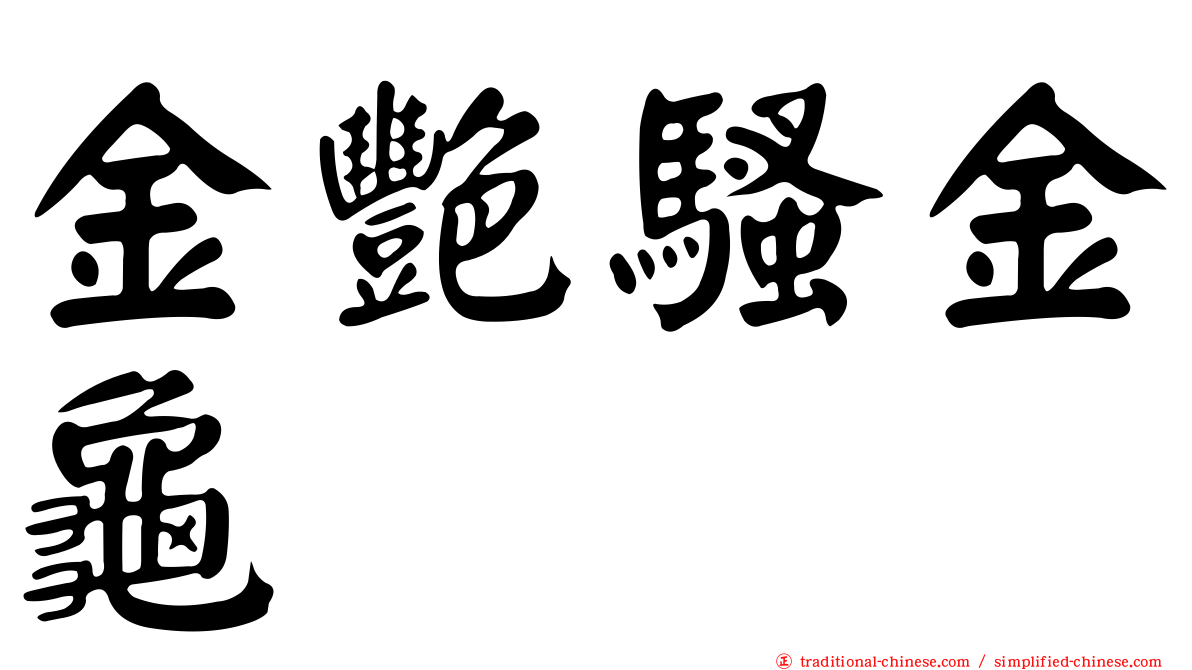 金艷騷金龜