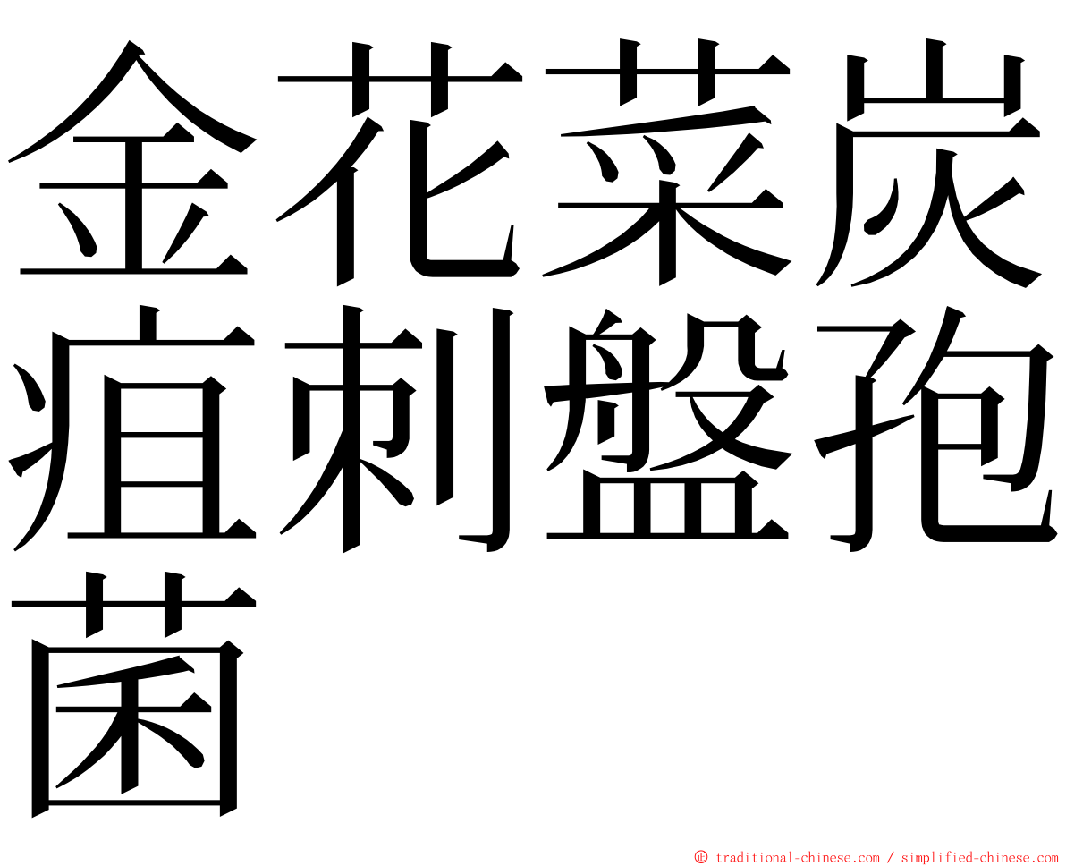 金花菜炭疽刺盤孢菌 ming font