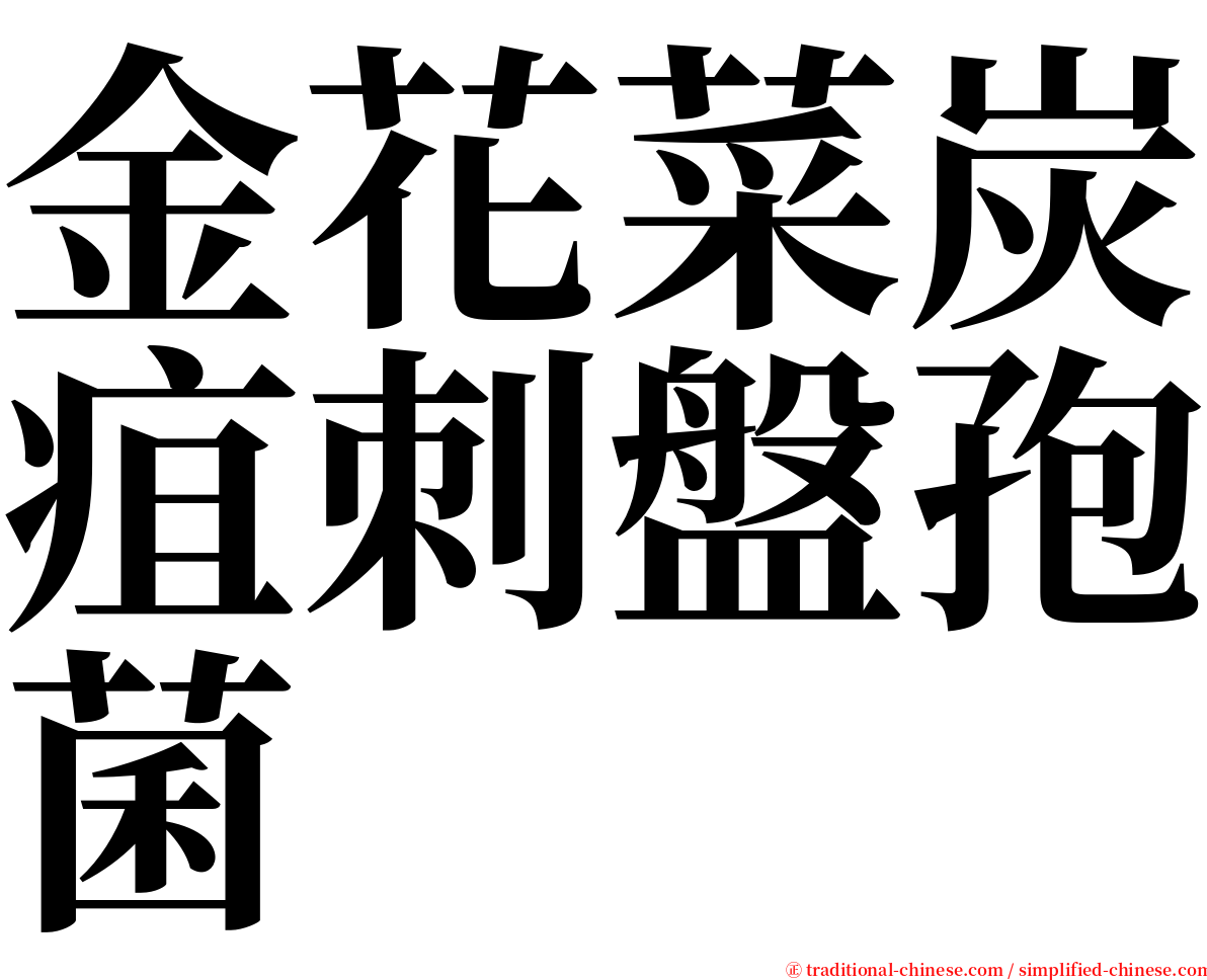 金花菜炭疽刺盤孢菌 serif font