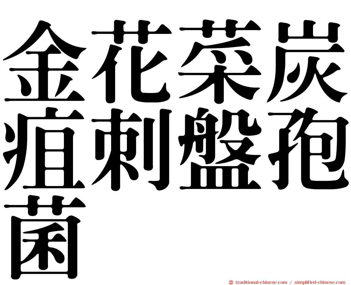 金花菜炭疽刺盤孢菌