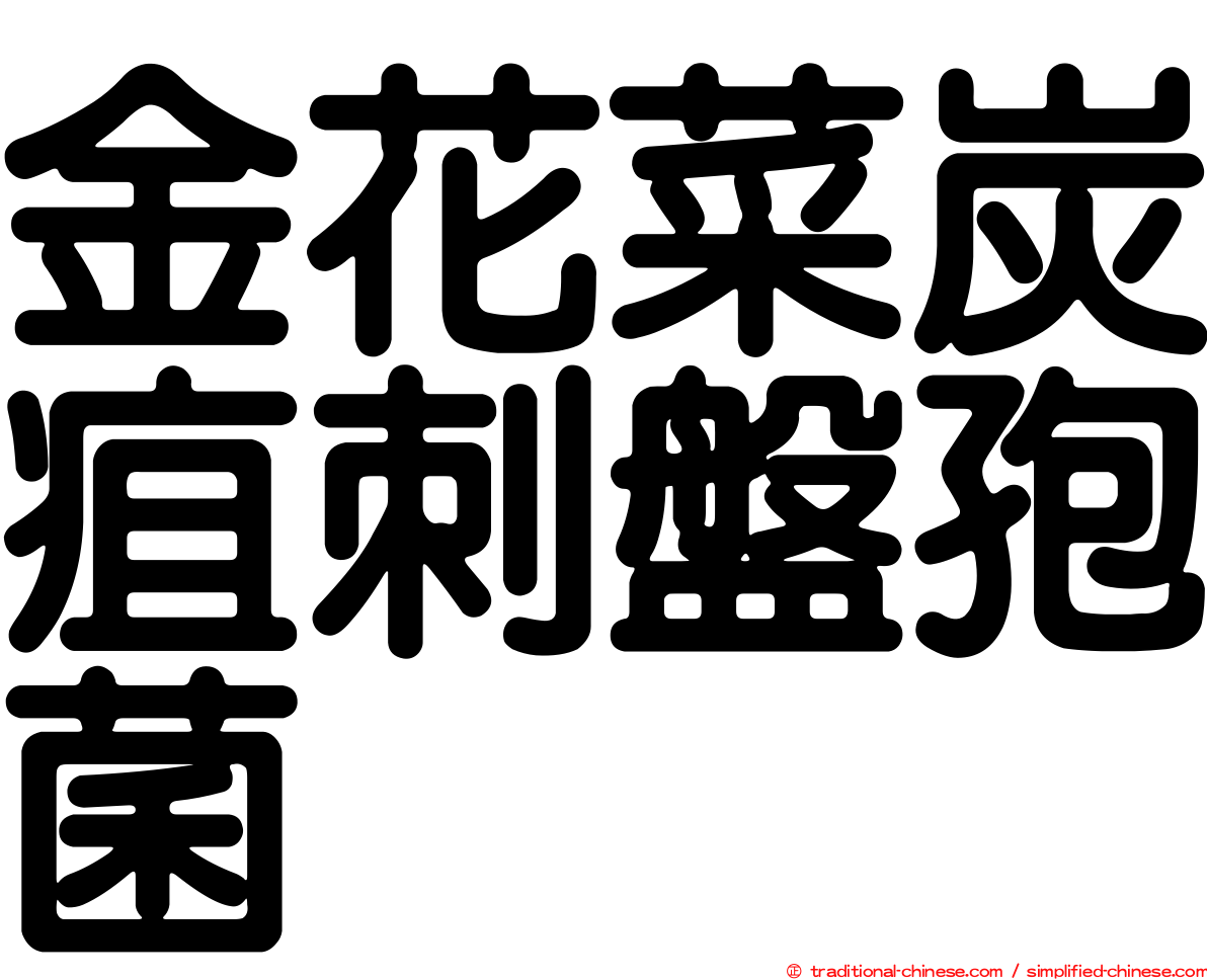 金花菜炭疽刺盤孢菌