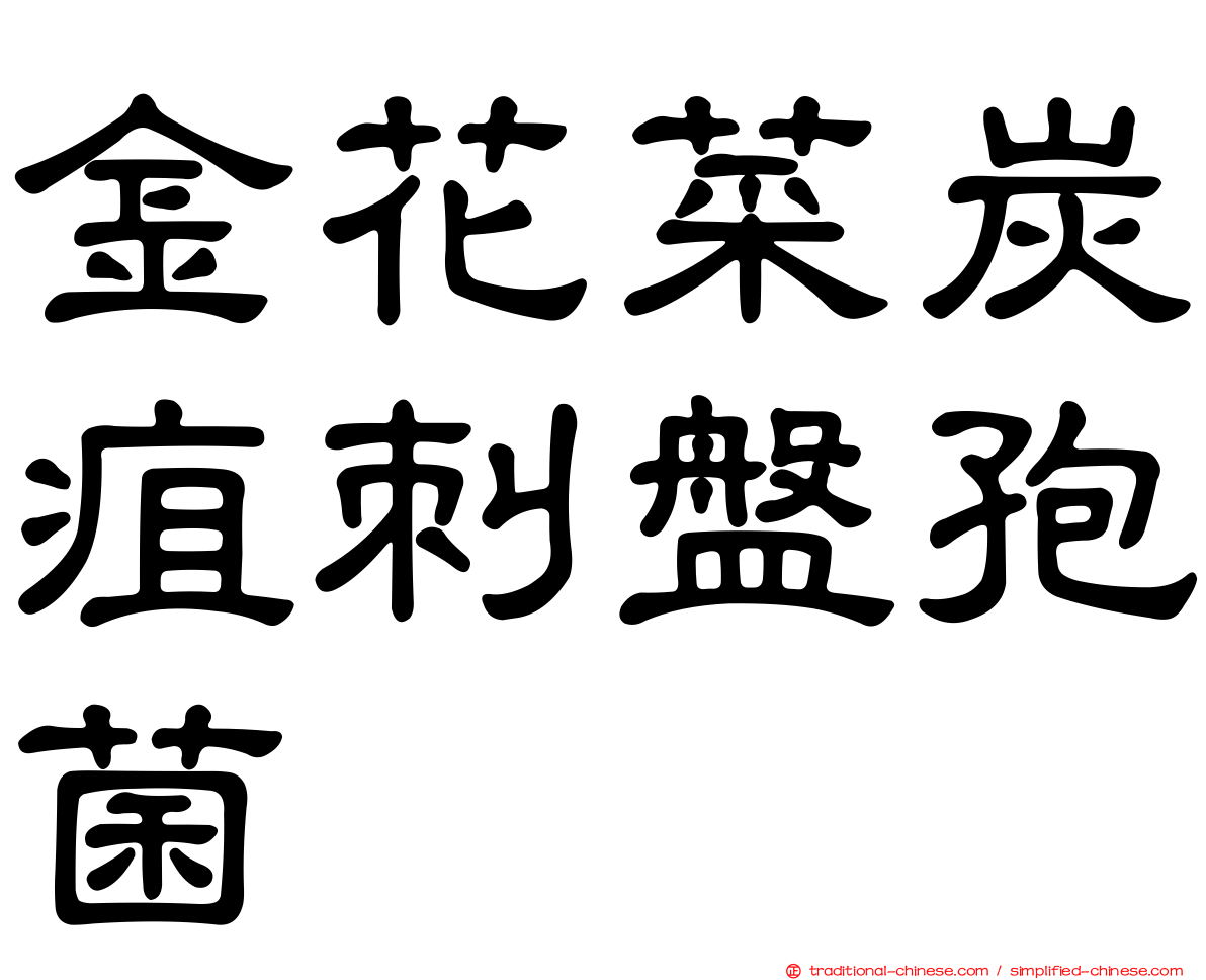 金花菜炭疽刺盤孢菌