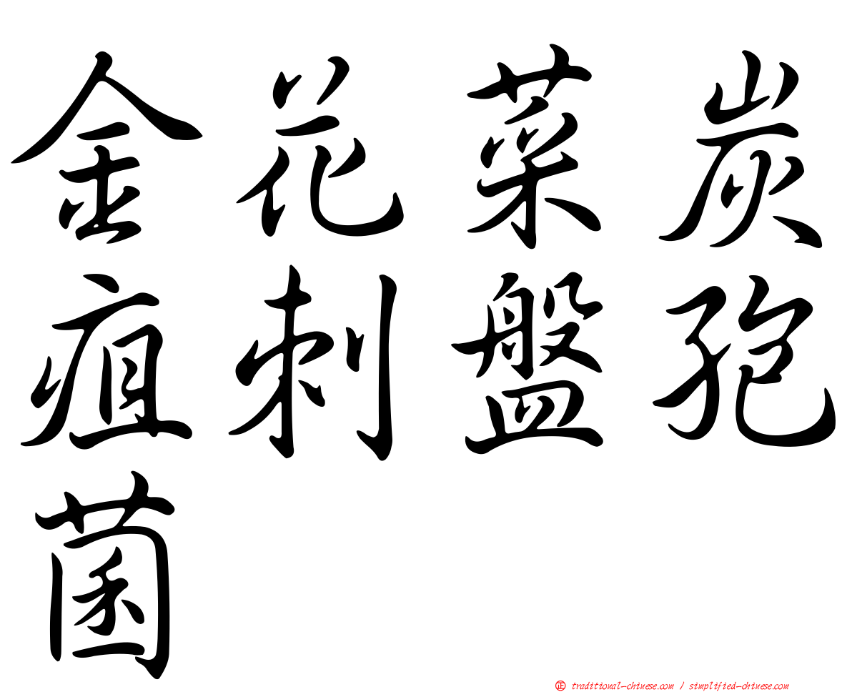 金花菜炭疽刺盤孢菌