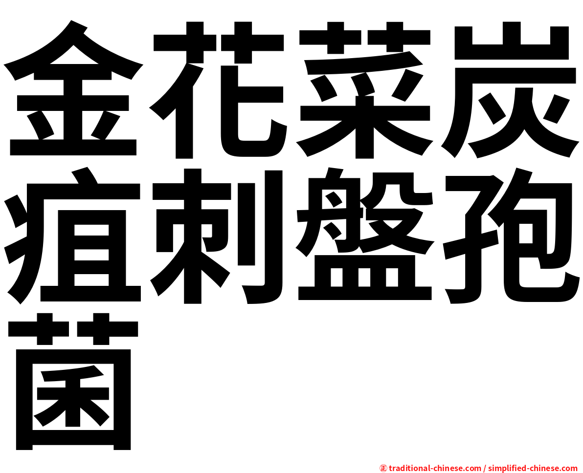 金花菜炭疽刺盤孢菌